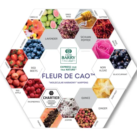 Cacao Barry Dark Chocolate Fleur de Cao - 5kg bag